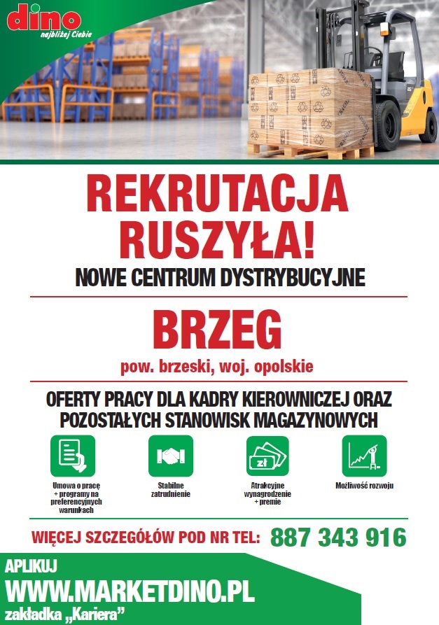 Plakat informacyjny dot. rekrutacji do Centrum Dystrybucyjnegi DINO