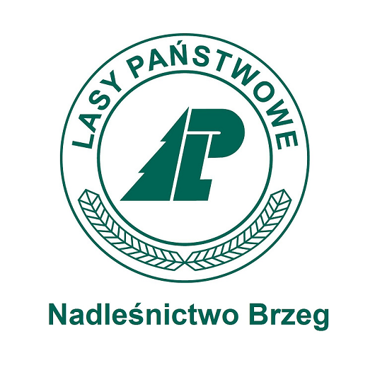 Zdjęcie artykułu Ogłoszenie o naborze - Nadleśnictwo Brzeg